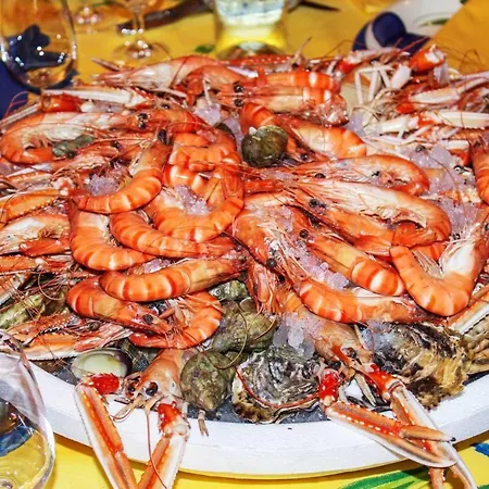 Vila Accueillante Avec Piscine A La Croix-Valmer