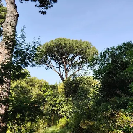 Accueillante Avec Piscine A Villa La Croix-Valmer