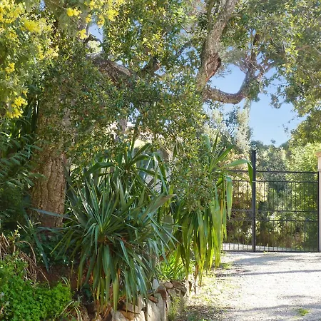 Villa Accueillante Avec Piscine A *