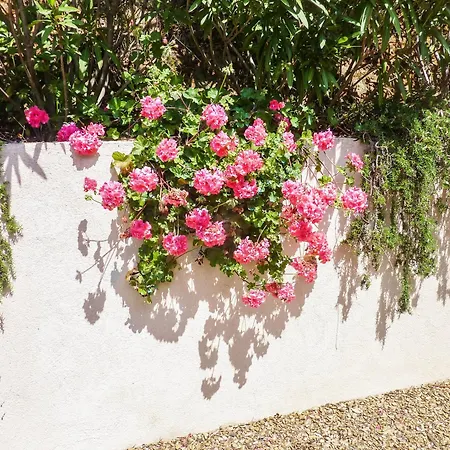 Accueillante Avec Piscine à Villa La Croix-Valmer